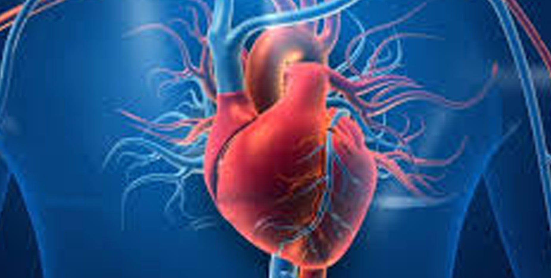HEALTH: Blood tests could predict those most at risk of dying from heart failure