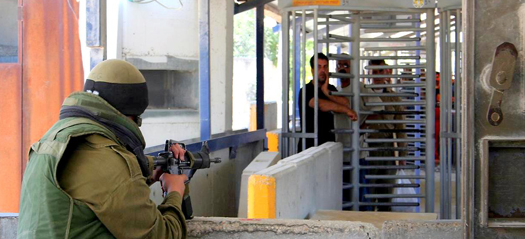 Israel labelled ‘apartheid regime’ by its own human rights organisation