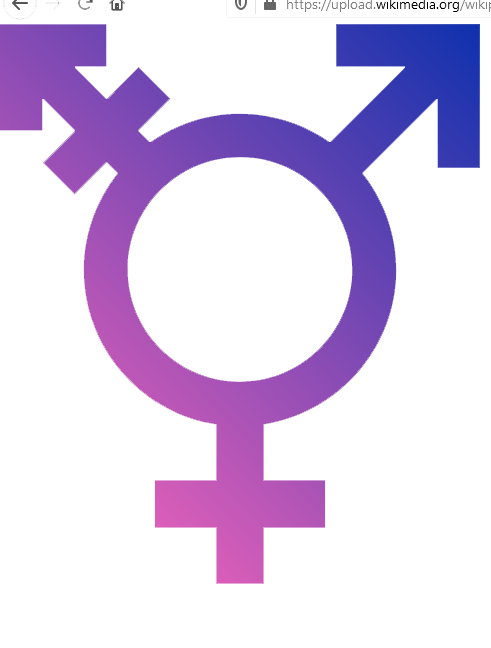 Fear of transphobic claims result in  over-diagnosing  children with gender dysphoria, say ‘whistleblowers’
