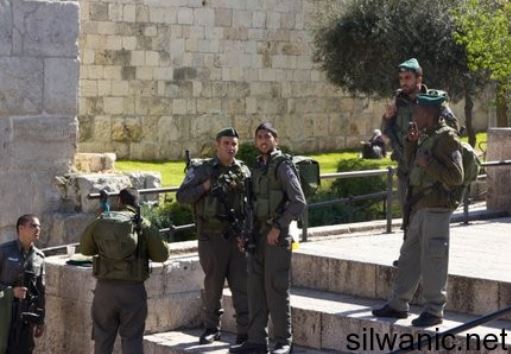 Palestine: Palestinian woman injured by settler’s car in Jerusalem