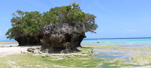 History: Pemba, the first conflict grave of the English East India Company